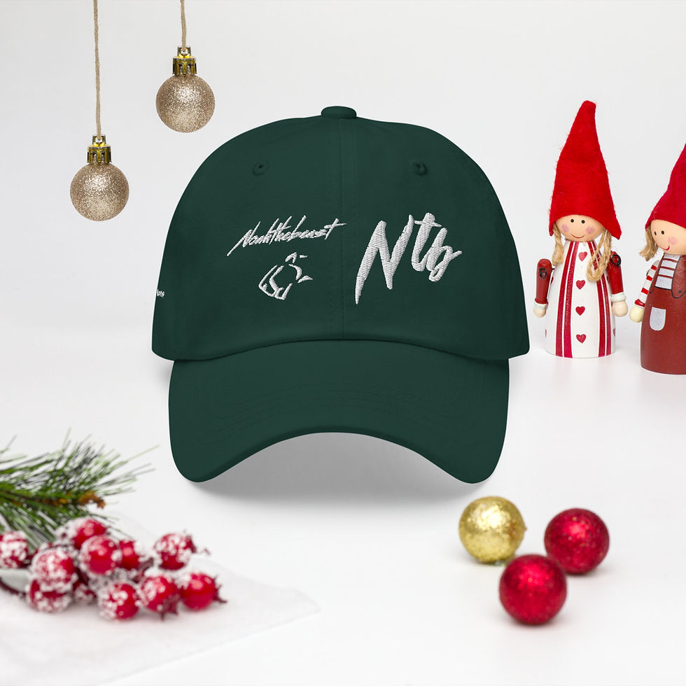Thumbnail: Four Sided Dad Hat 