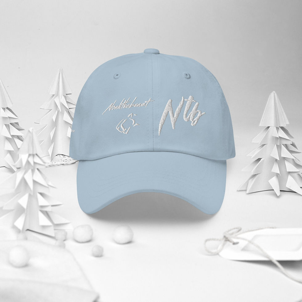 Thumbnail: Four Sided Dad Hat 