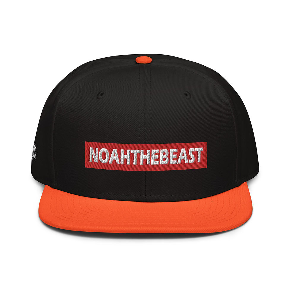 Thumbnail: Snapback Hat
