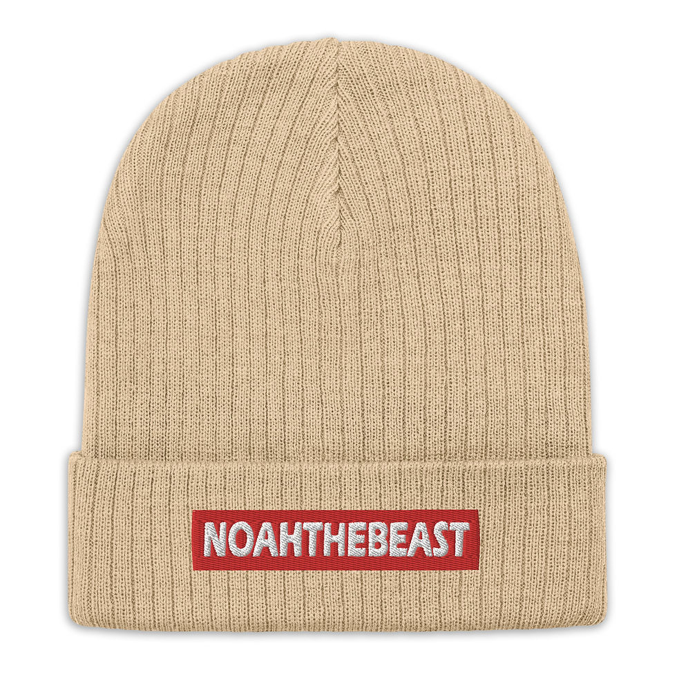 Thumbnail: Ribbed knit beanie