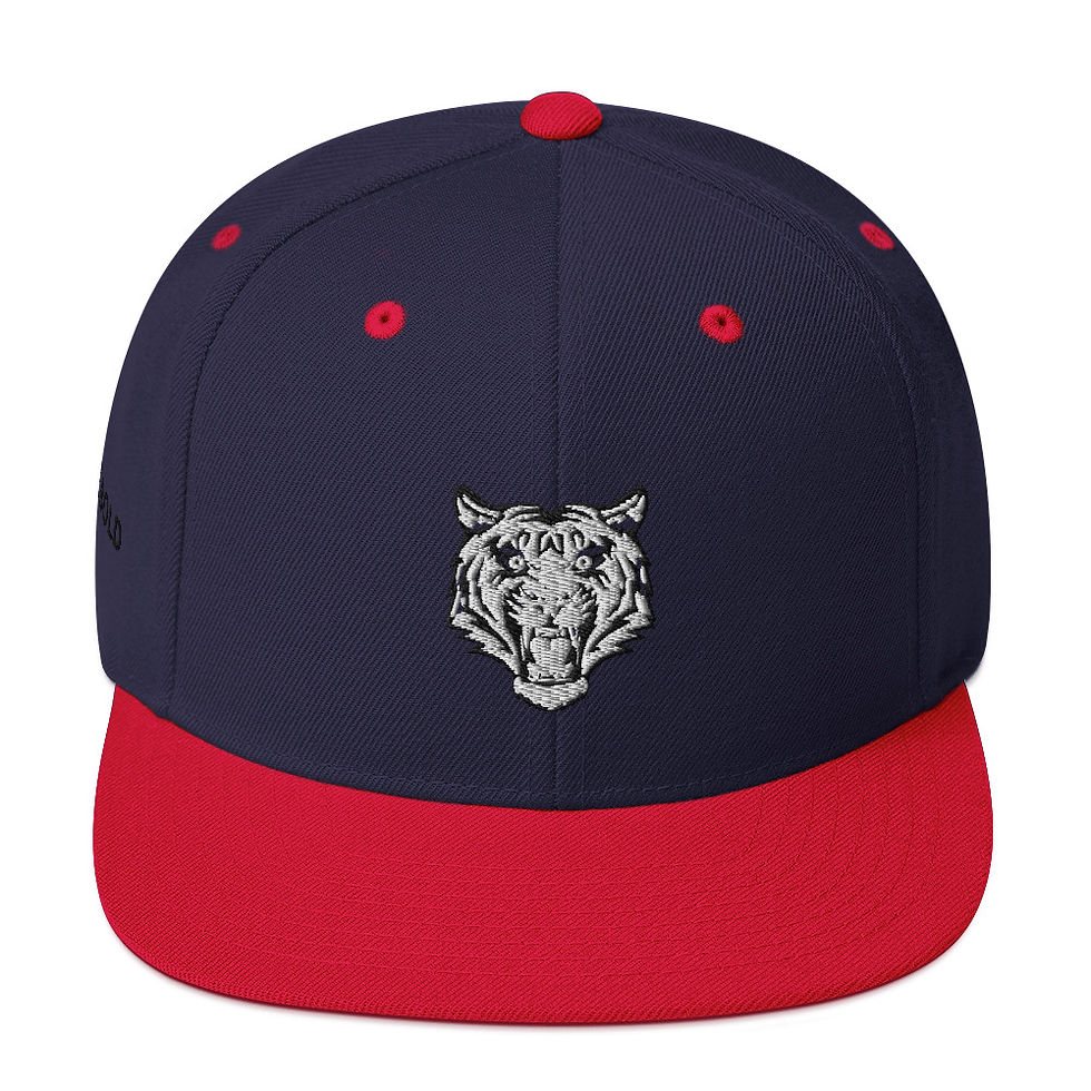Thumbnail: Snapback Hat