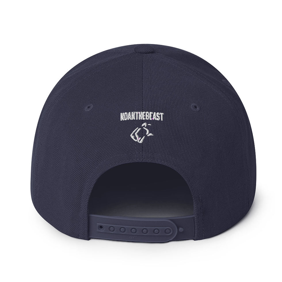 Thumbnail: NS Snapback Hat