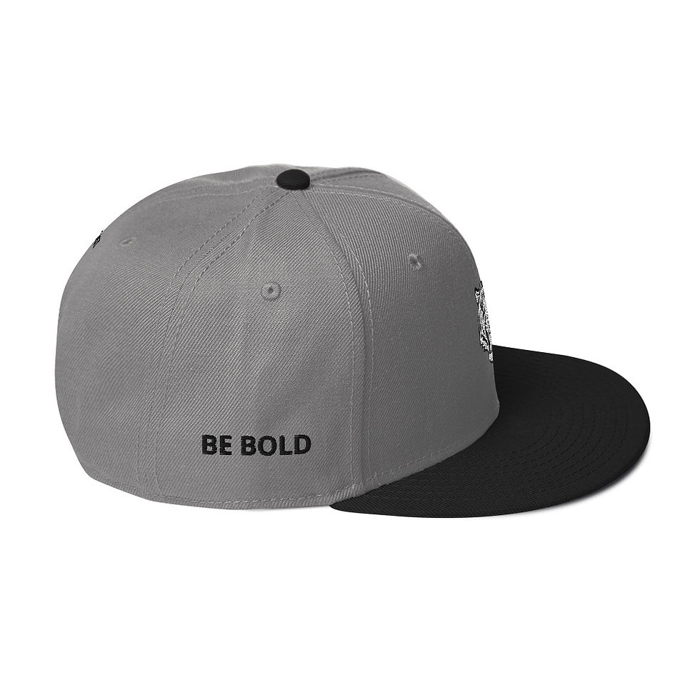 Thumbnail: Snapback Hat