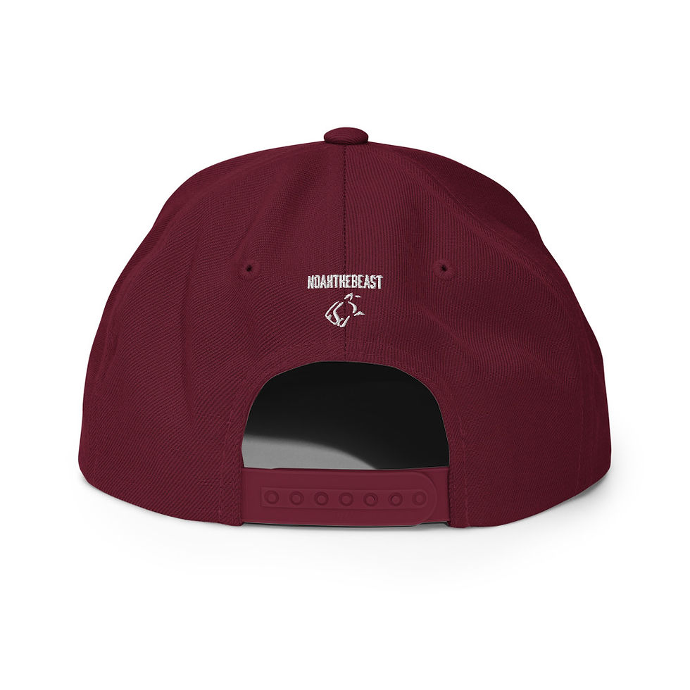 Thumbnail: Snapback Hat