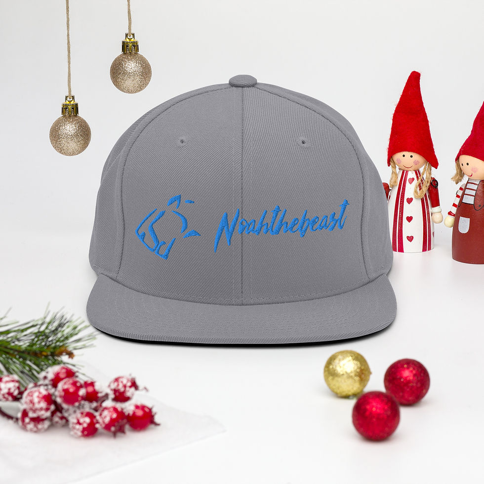 Thumbnail: Snapback Hat