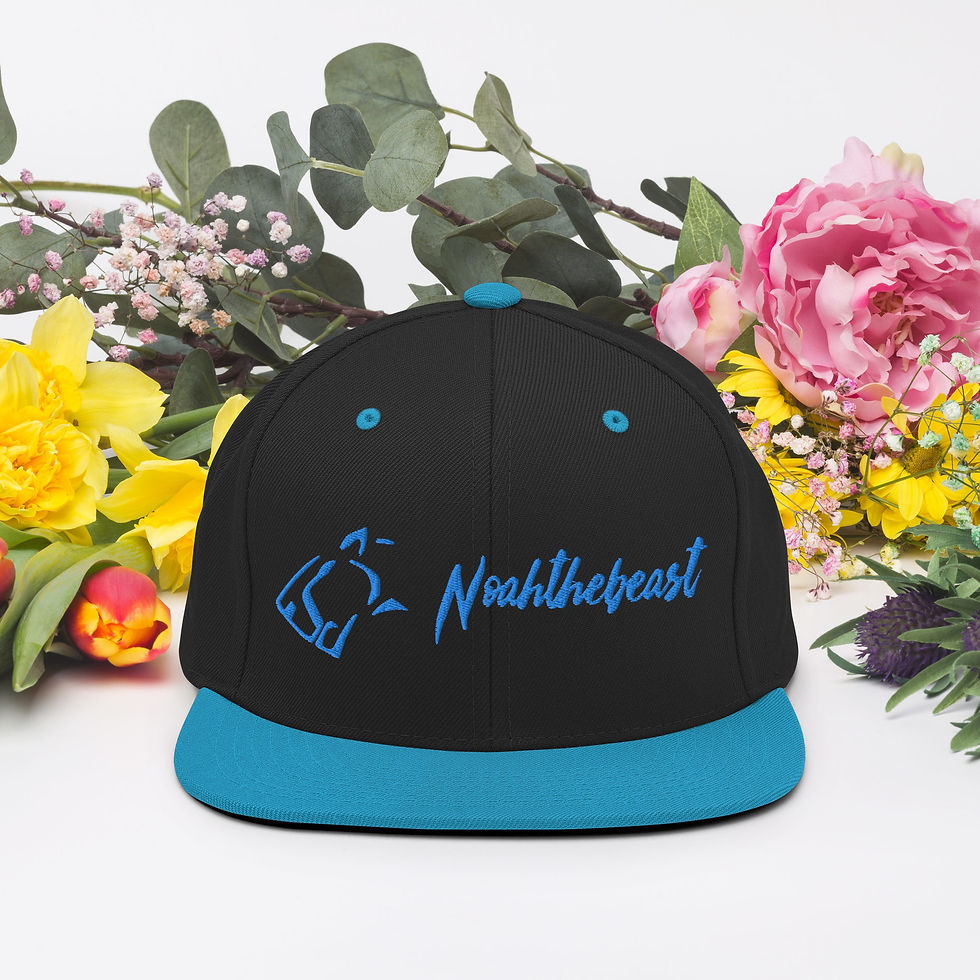 Thumbnail: Snapback Hat