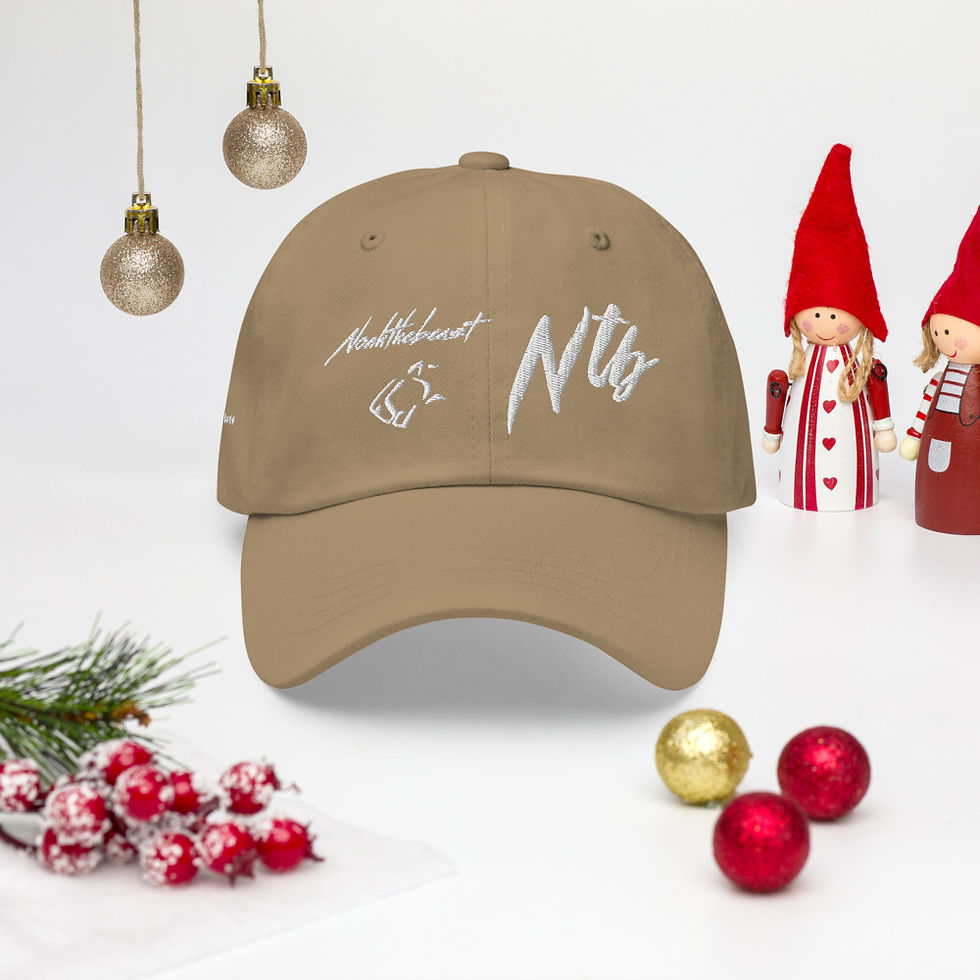 Thumbnail: Four Sided Dad Hat 