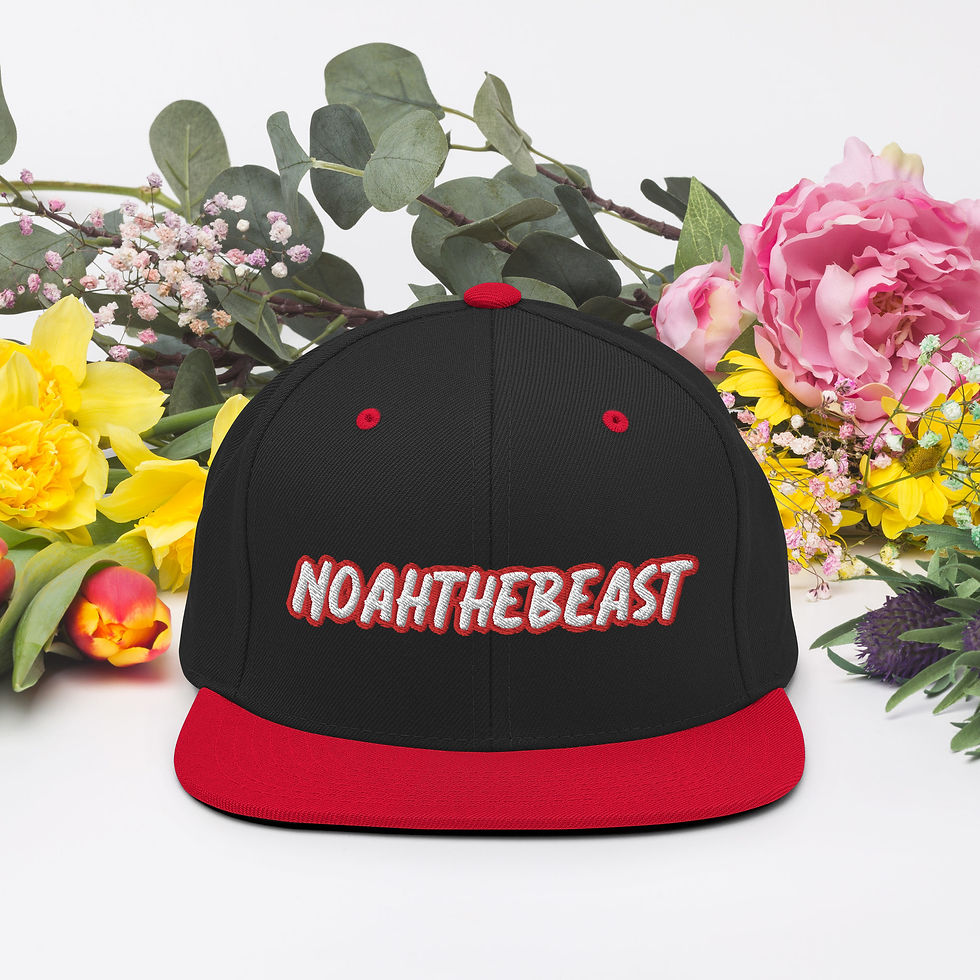Thumbnail: Snapback Hat