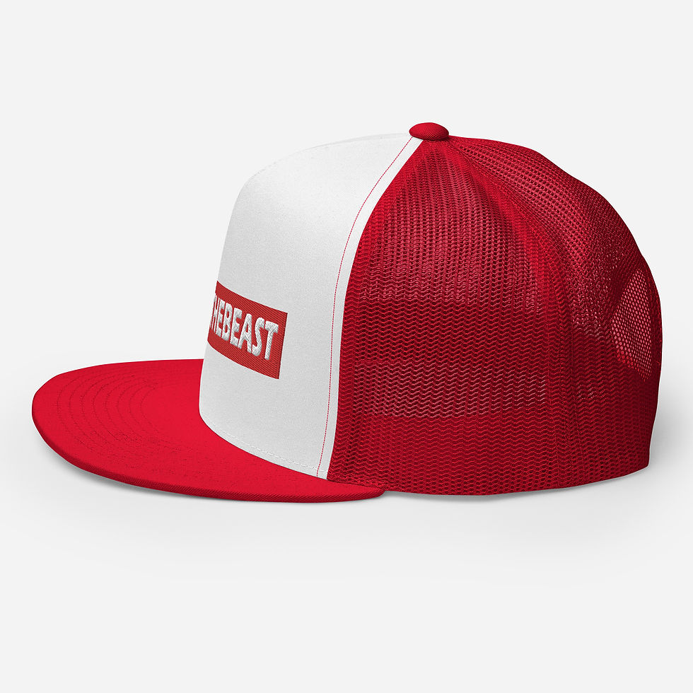 Thumbnail: Noahthebeast trucker hat 