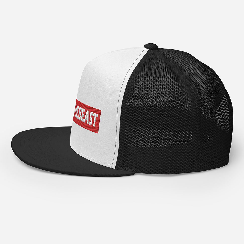 Thumbnail: Noahthebeast trucker hat 