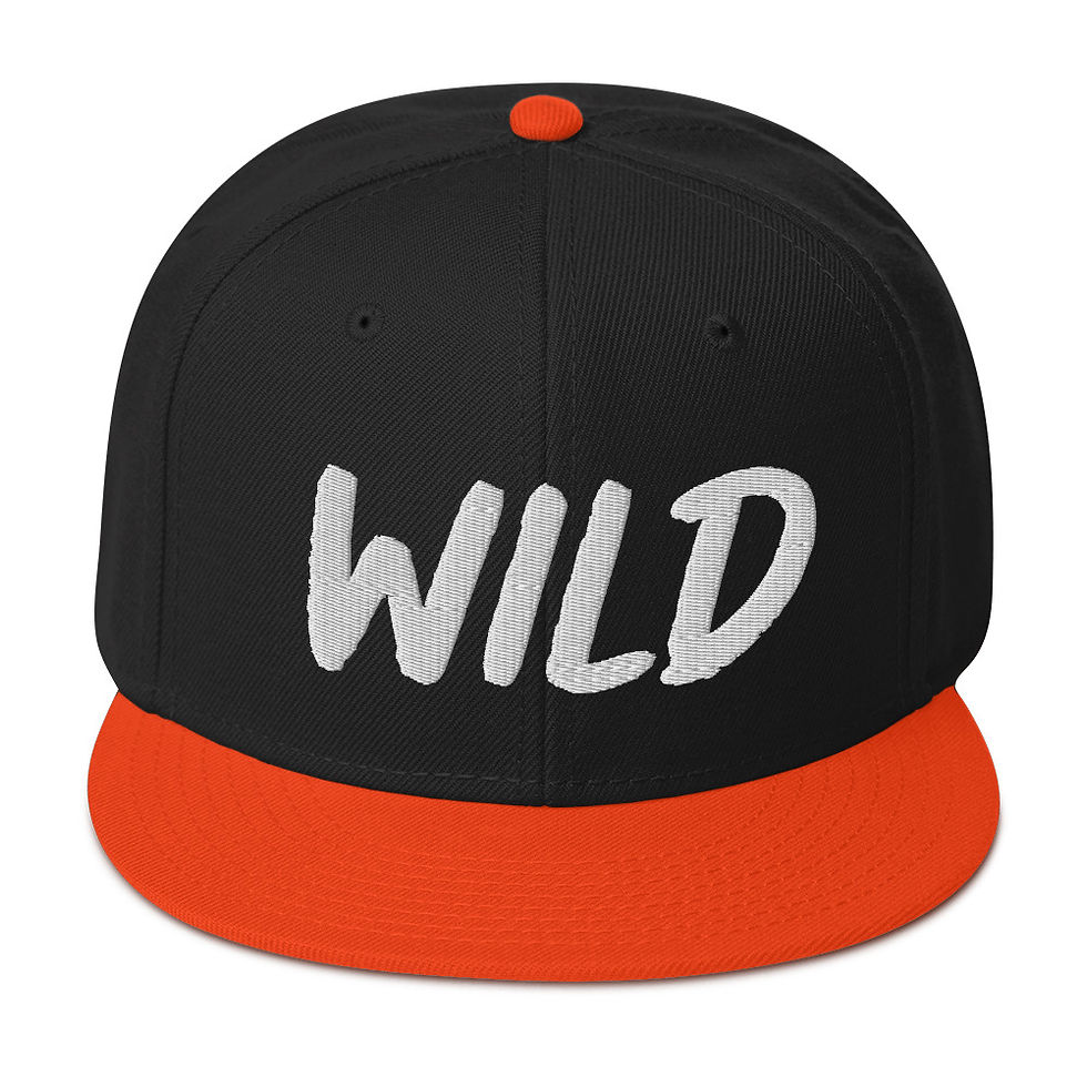 Thumbnail: Snapback Hat