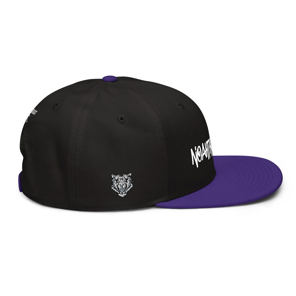 Thumbnail: Snapback Hat