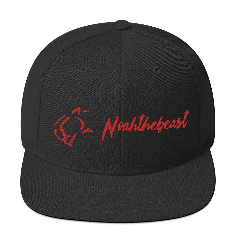 Thumbnail: Snapback Hat