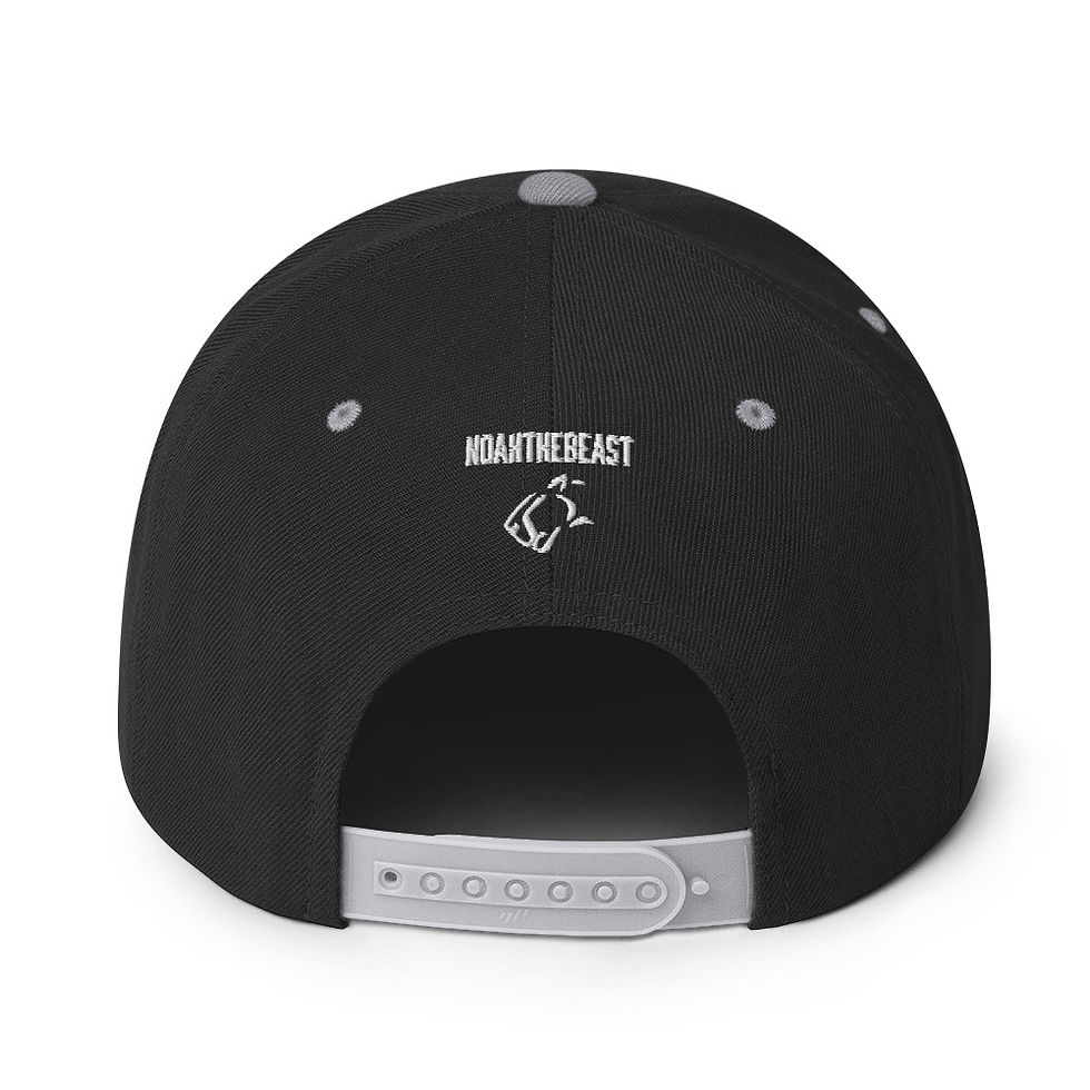 Thumbnail: Snapback Hat