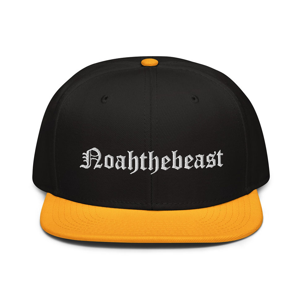 Thumbnail: Snapback Hat