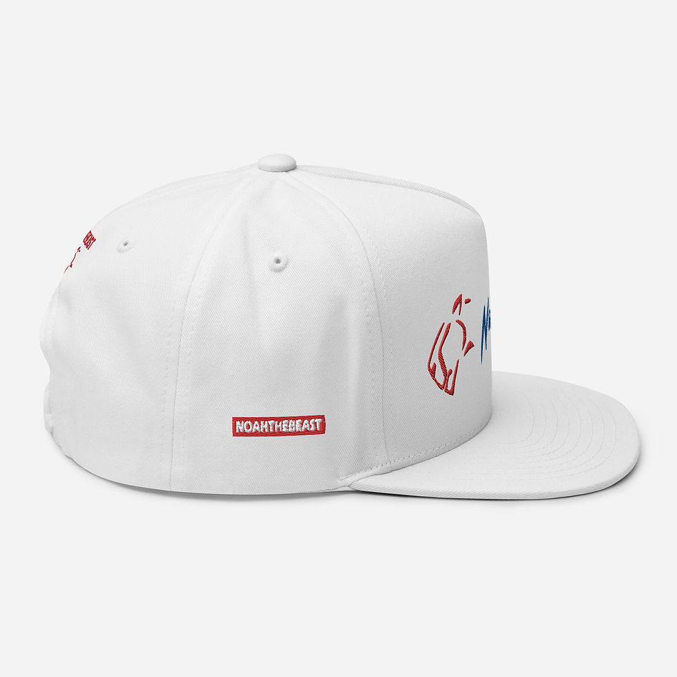 Thumbnail: Flat Bill Cap