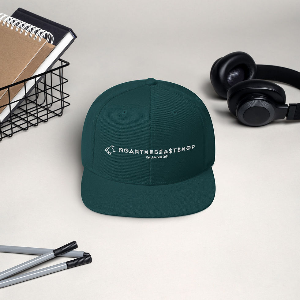 Thumbnail:  Noahthebeastshop Snapback Hat