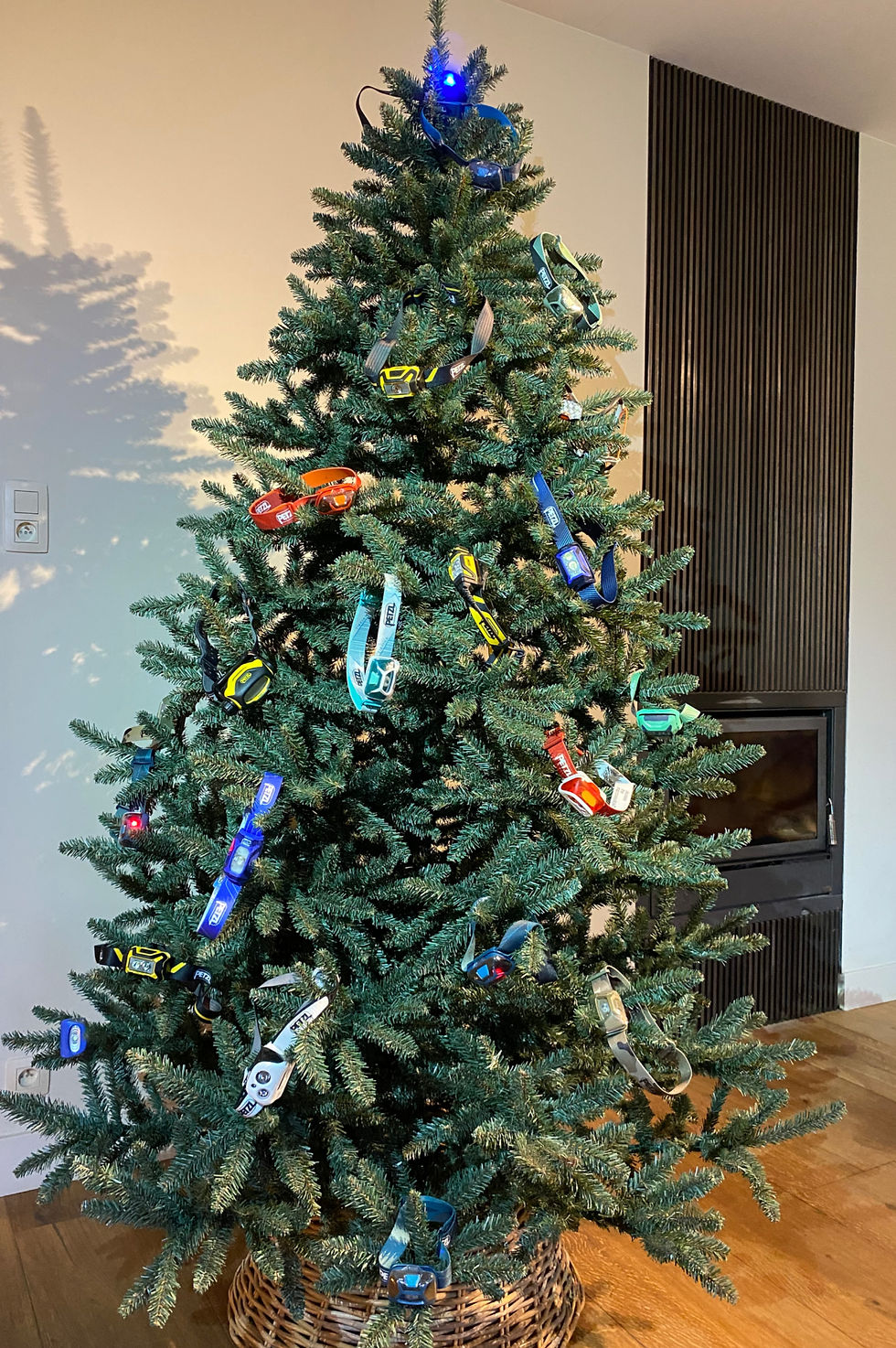 PETZLKerstBoom.jpg
