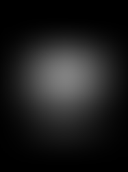 Stepping Into the Light: The Leadership Journey from Protection to Impact