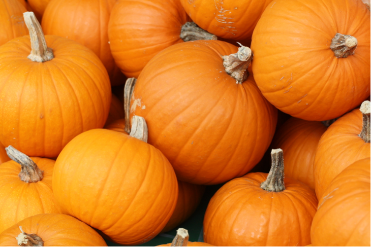 Pumpkins in a pile
