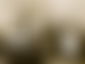 Grave, contagiosa y mortal: ¿Qué pasó con la viruela en Chile?