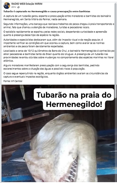 Captura de Tela (23).png