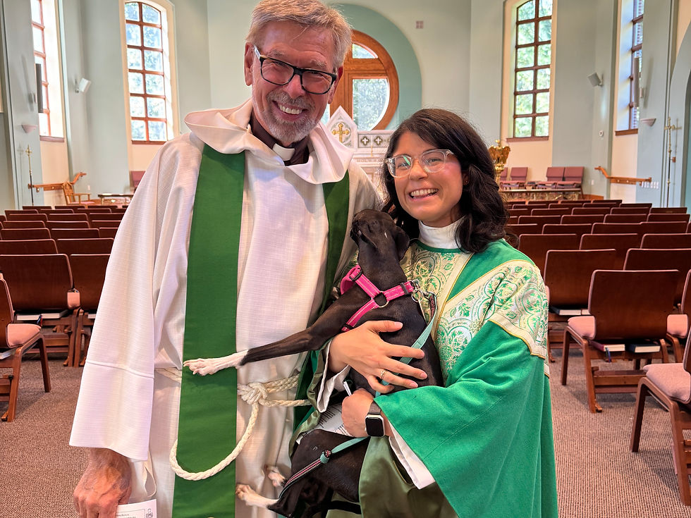 Blessing of the Animals