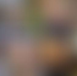 Anmälan Konfirmand 2027