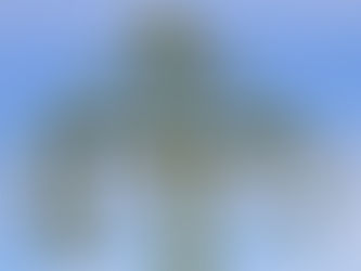 Midsommar-läger 22-25 juni