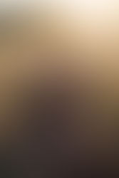 Lauren's Senior Pics