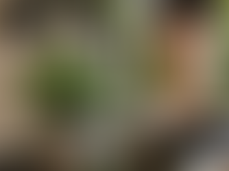 A smiling woman standing in her shop, made possible by resources for small business owners