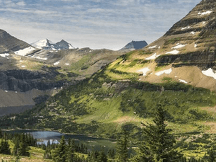 Lush, green mountains and trees in Montana, Representing Montana CPA CPE Requirements