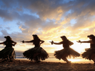 Your New Path to Wellness Starts Here