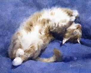 Cat Lying on Back.jpg