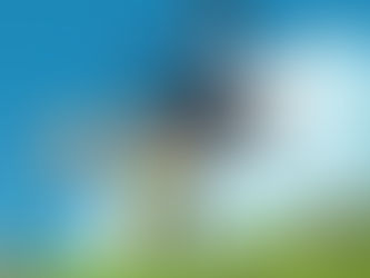 Image du film Le Château Ambulant avec un chien, un épouvantail et un garçon