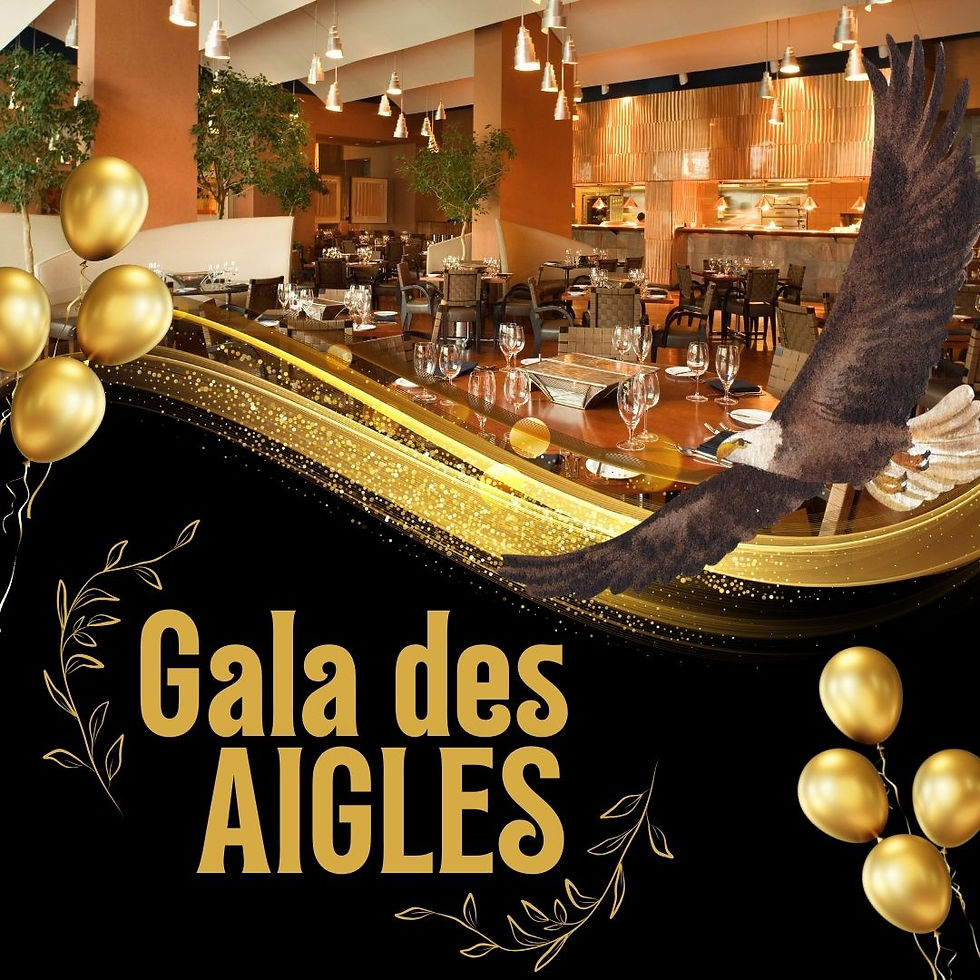 Gala des Aigles