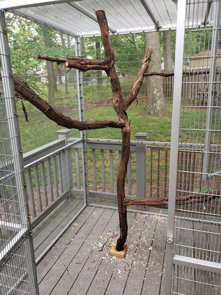 Building the Aviary Tree