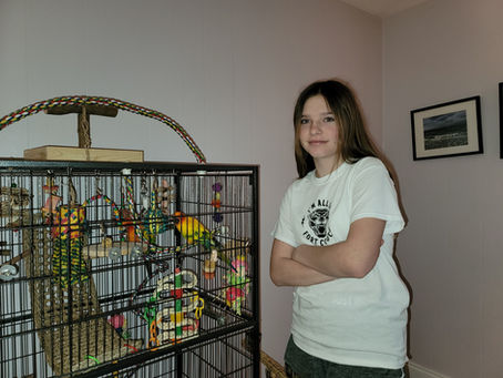 Phineus and Fergie have been adopted!