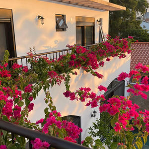 CASA BOUGANVILLE