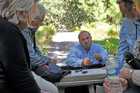 Ossabaw Island tour with Savannah Coastal Ecotours