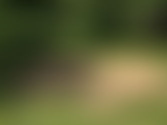 Garten Rosa - Unser erster Pflegegarten