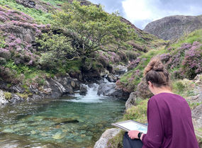 watkins path river pools en plein air painting.jpeg