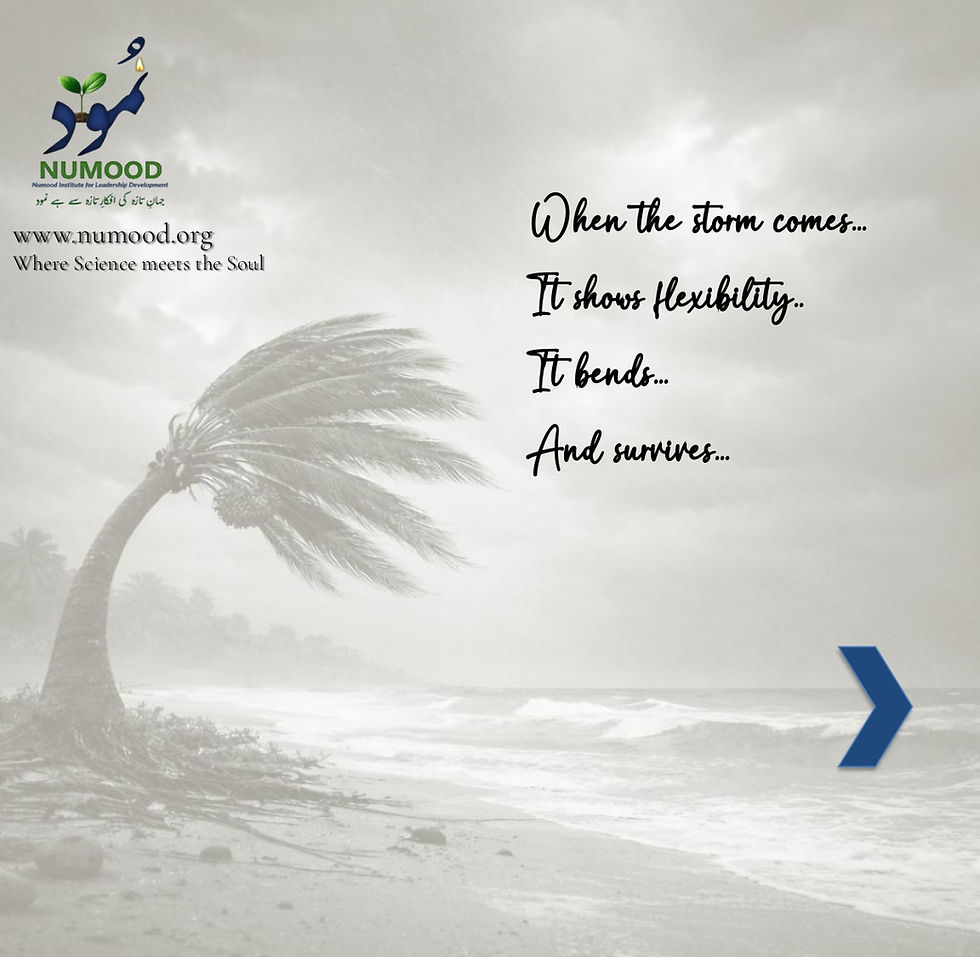 Date Palm Mindset 03-04-26 (3)_page-0006.jpg