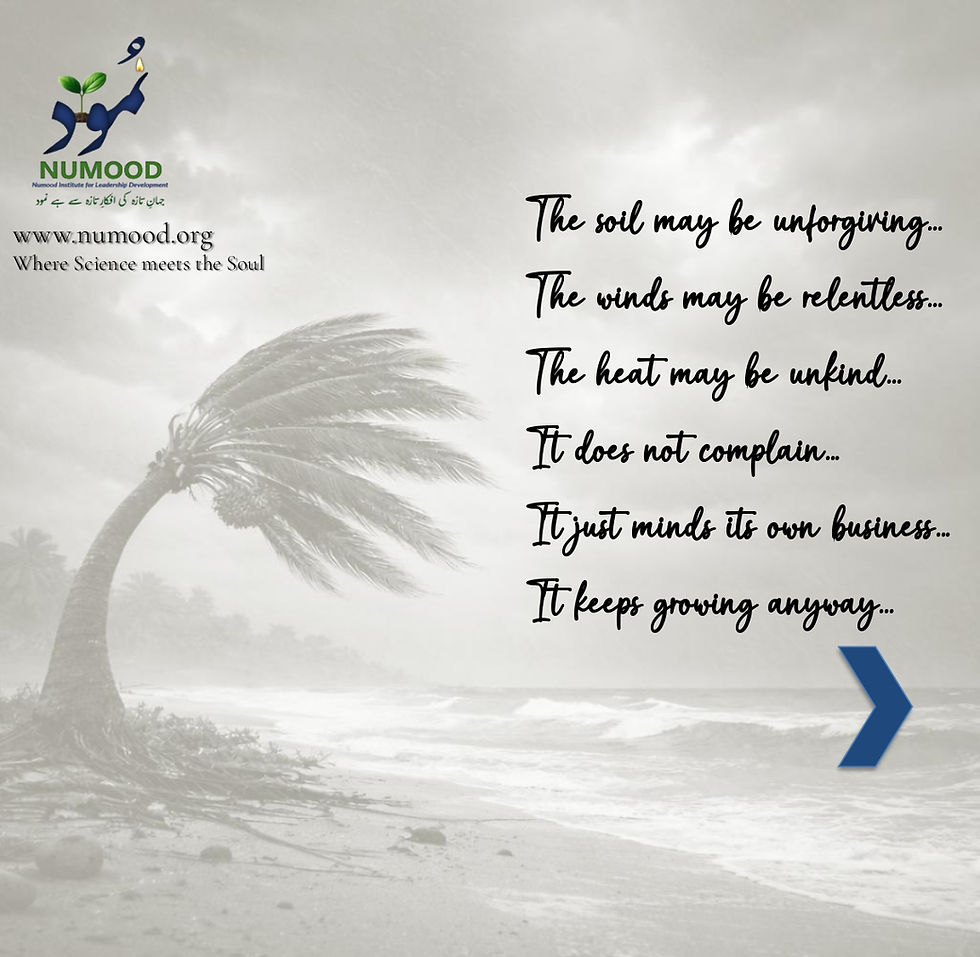 Date Palm Mindset 03-04-26 (3)_page-0003.jpg