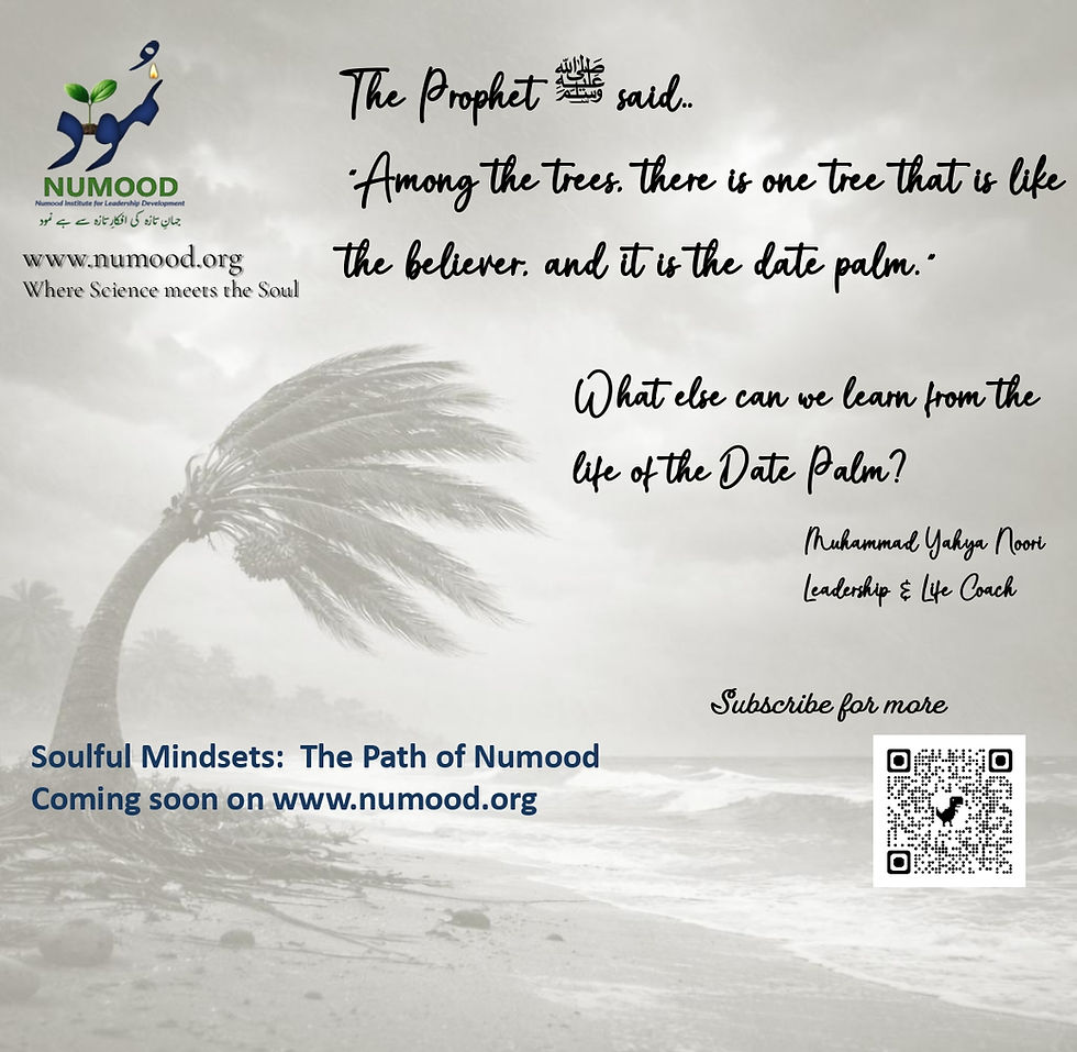 Date Palm Mindset 03-04-26 (3)_page-0010.jpg