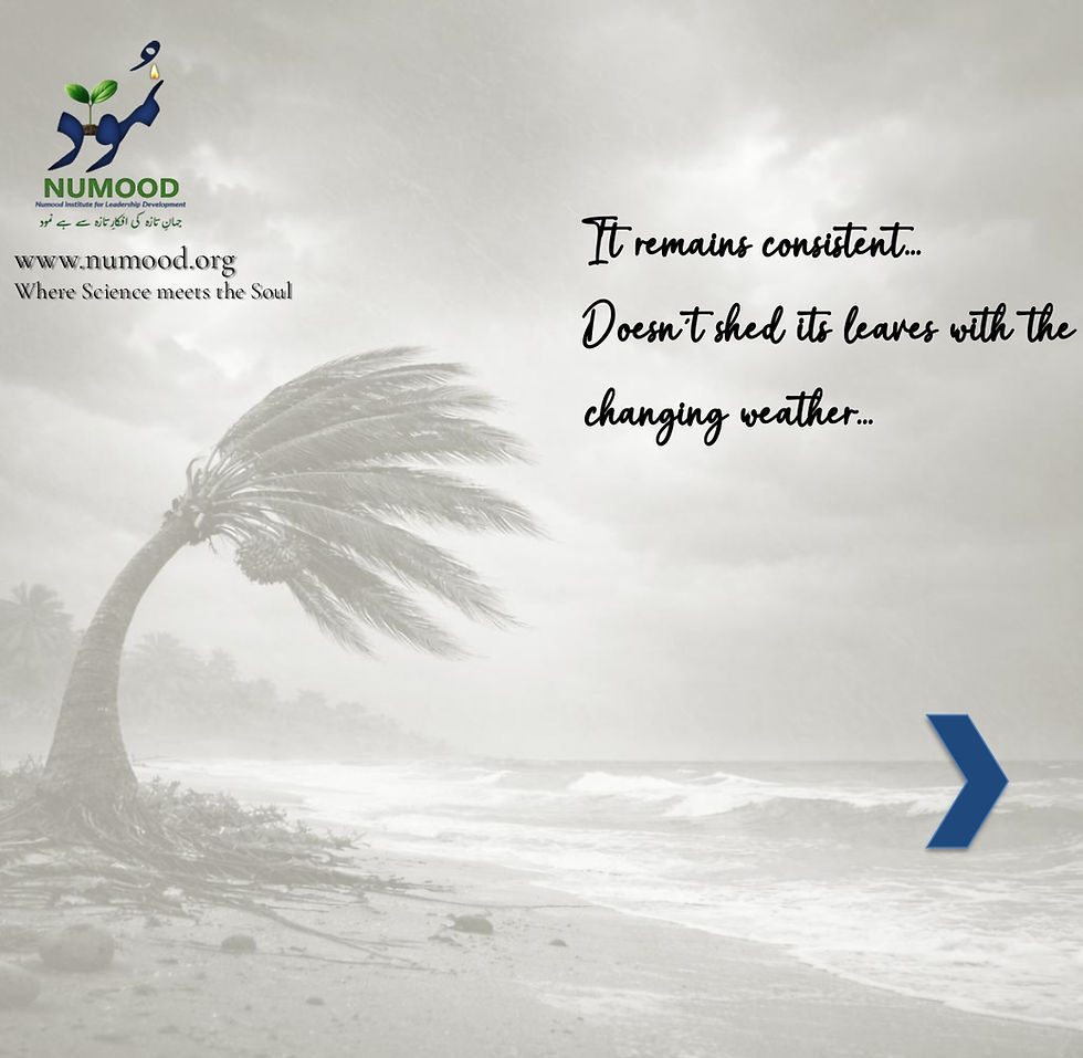 Date Palm Mindset 03-04-26 (3)_page-0005.jpg