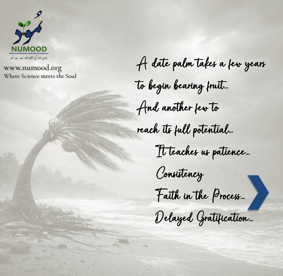 Date Palm Mindset 03-04-26 (3)_page-0007.jpg