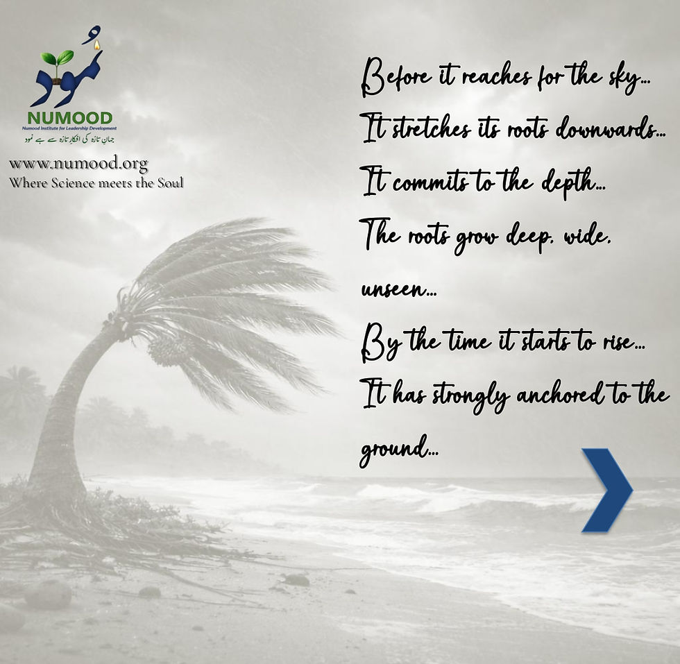 Date Palm Mindset 03-04-26 (3)_page-0004.jpg