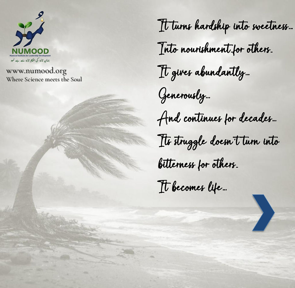 Date Palm Mindset 03-04-26 (3)_page-0008.jpg