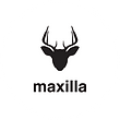 maxilla.png
